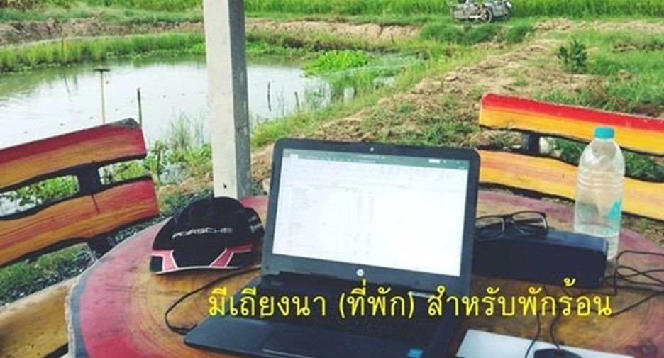 Продажа Участок в Bueng Samakkhi, Кампхэнгпхет