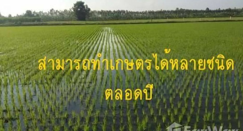 Продажа Участок в Bueng Samakkhi, Кампхэнгпхет