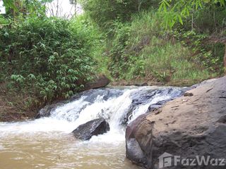 Terreno en venta en Phu Ruea, Loei