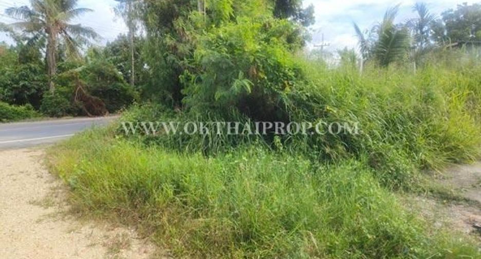 Terreno en venta en Phanat Nikhom, Chonburi