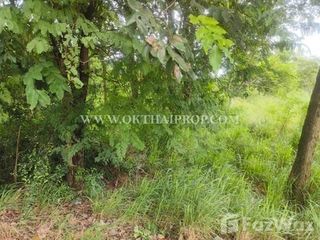Продажа Участок в Phanat Nikhom, Чонбури