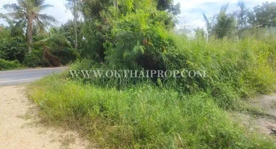 Grundstück zum Kauf in Phanat Nikhom, Chonburi