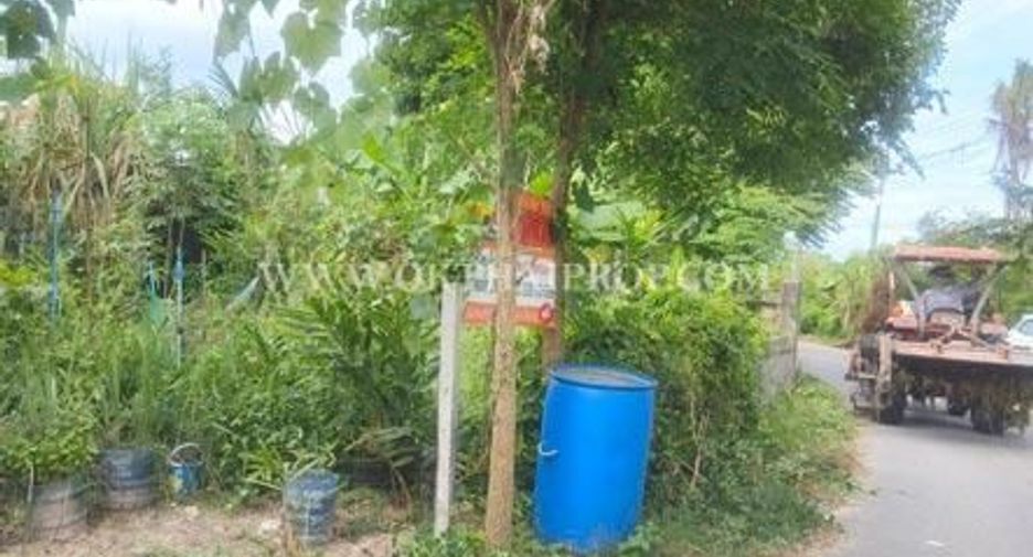 Terreno en venta en Phanat Nikhom, Chonburi