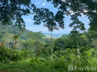 出售 土地 在 Phuket Town, 普吉