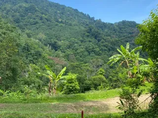 出售 土地 在 Phuket Town, 普吉