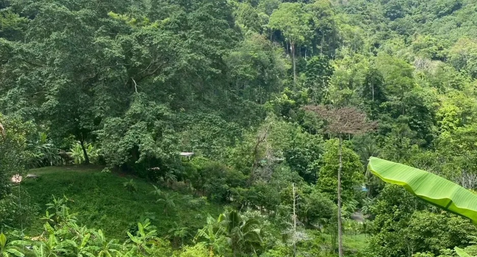 出售 土地 在 Phuket Town, 普吉