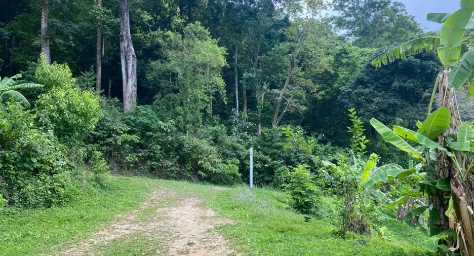 出售 土地 在 Phuket Town, 普吉