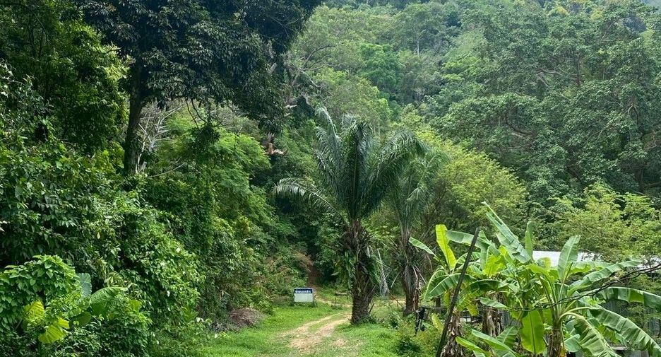 出售 土地 在 Phuket Town, 普吉