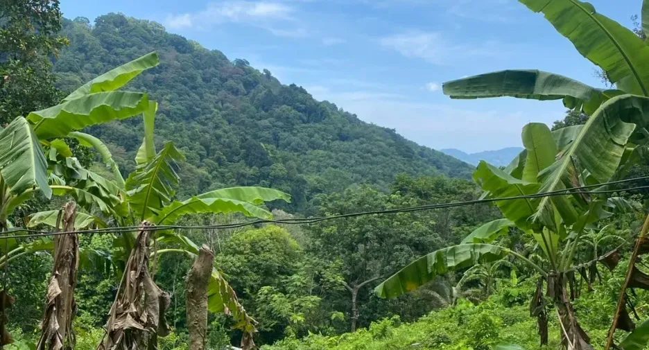 出售 土地 在 Phuket Town, 普吉