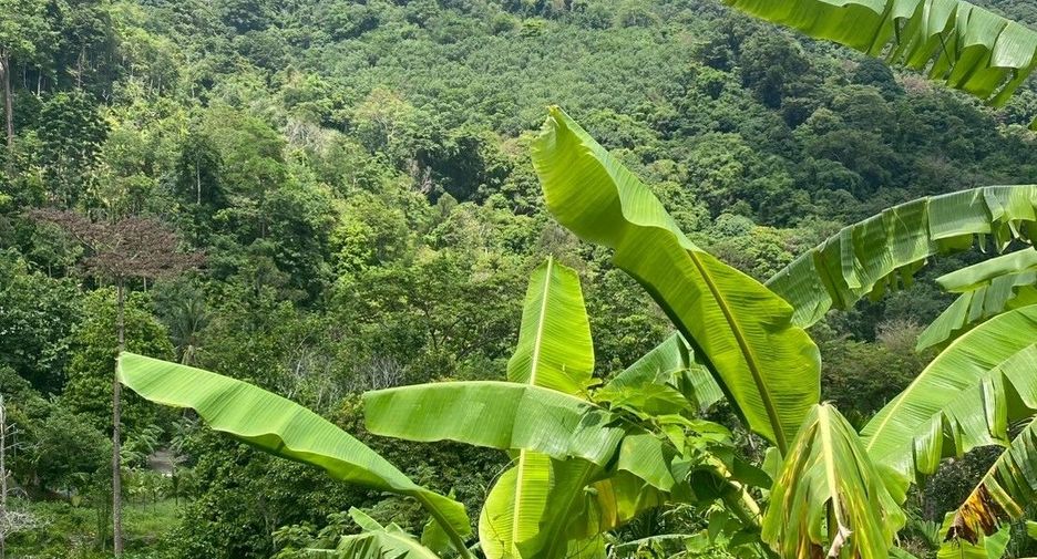 出售 土地 在 Phuket Town, 普吉