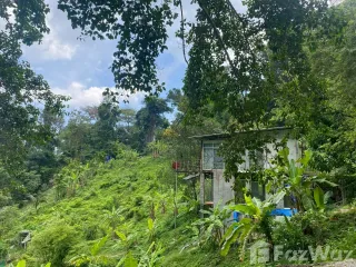 出售 土地 在 Phuket Town, 普吉