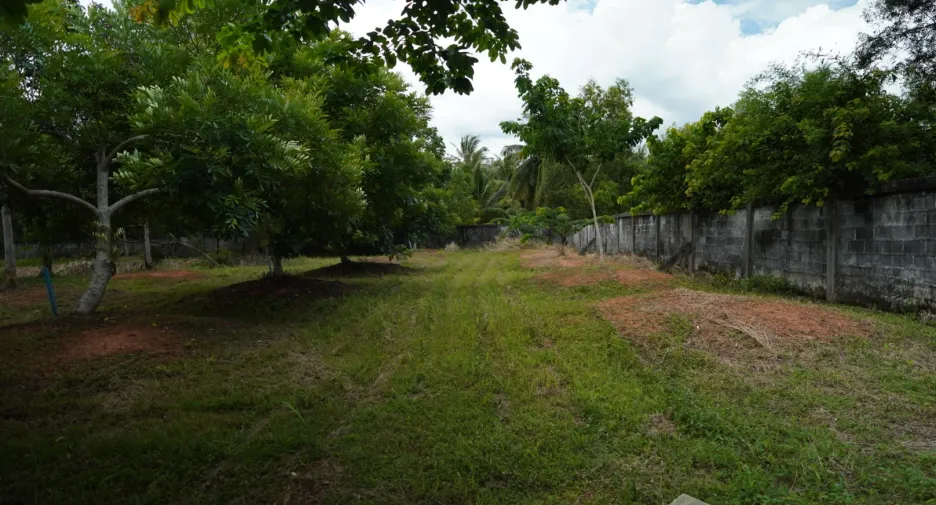 For sale land in Klaeng, Rayong