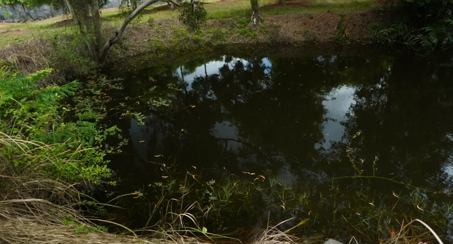 For sale land in Klaeng, Rayong