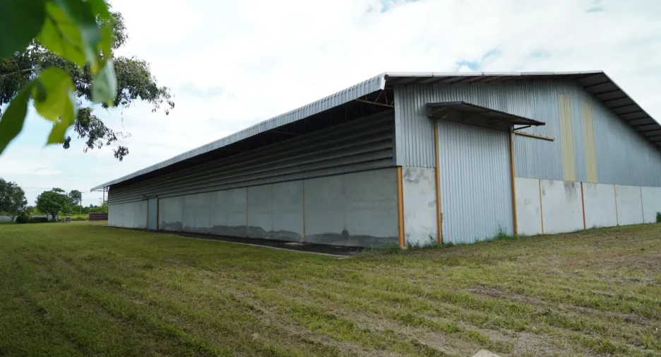 For sale land in Klaeng, Rayong
