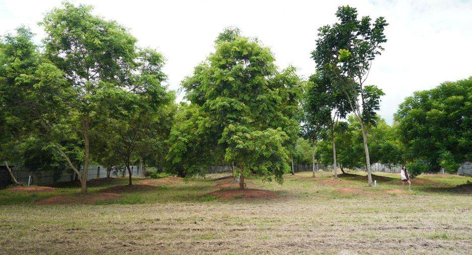 For sale land in Klaeng, Rayong