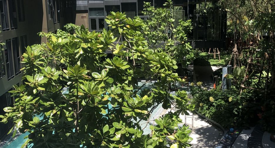 Condo en venta de estudio en Mueang Phuket, Phuket