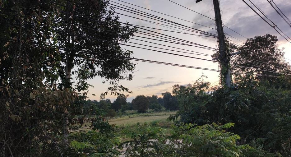 For sale land in Pa Tio, Yasothon