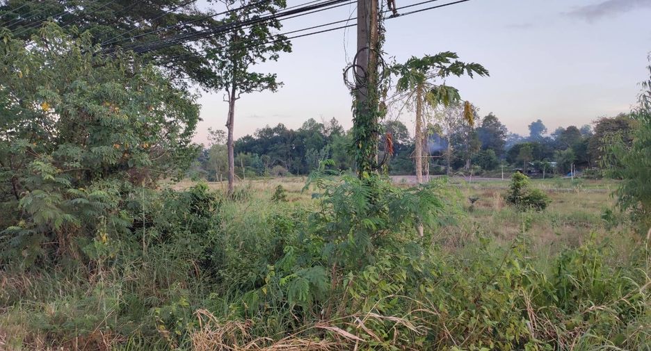 For sale land in Pa Tio, Yasothon
