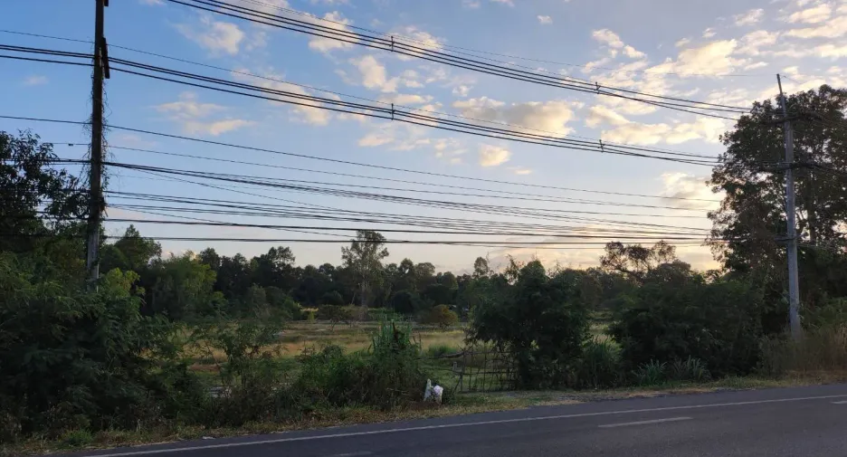 For sale land in Pa Tio, Yasothon