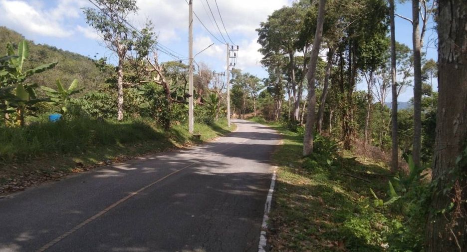 ขาย ที่ดิน ใน ถลาง, ภูเก็ต