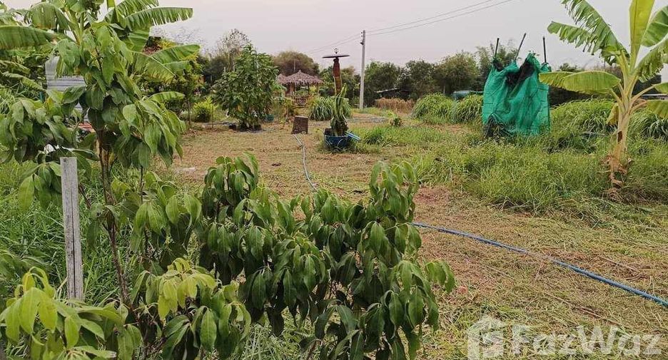 Local comercial en venta en Phu Wiang, Khon Kaen