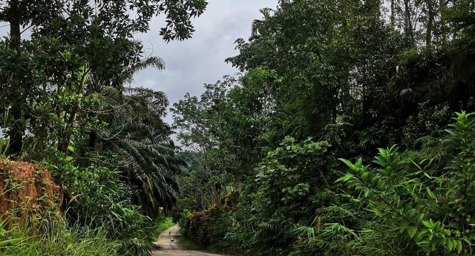 For sale land in Mueang Ranong, Ranong
