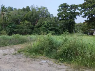 Grundstück zum Kauf in Mueang Krabi, Krabi