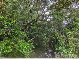 Grundstück zum Kauf in Mueang Krabi, Krabi