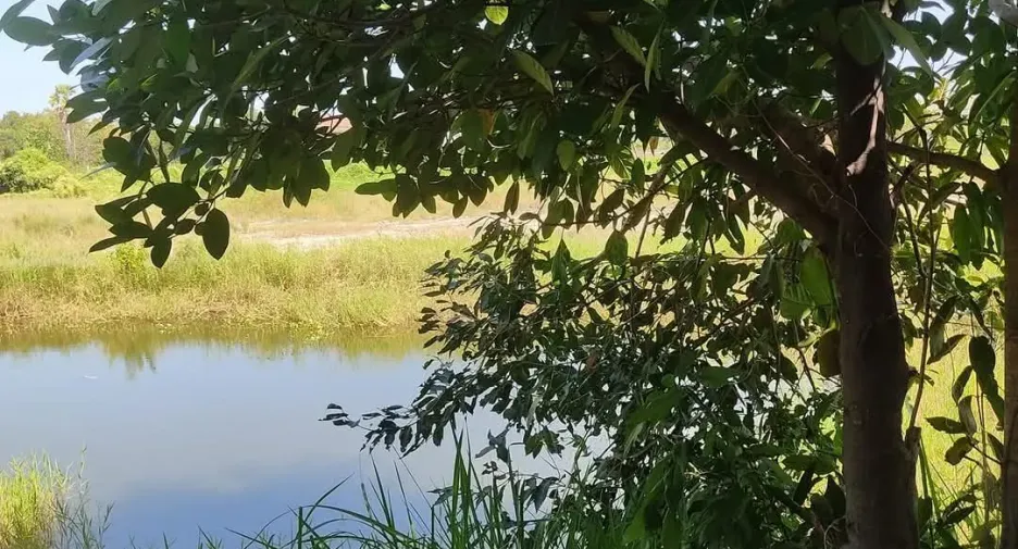 Casa en venta y en alquiler de 1 habitaciones en Mueang Khon Kaen, Khon Kaen