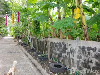 出售 土地 在 Bang Na, 曼谷