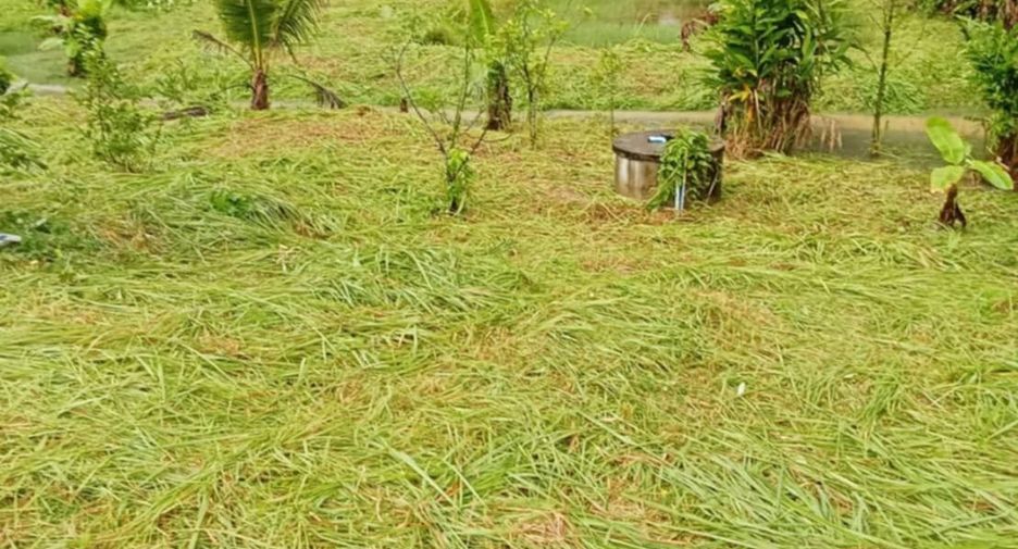 For sale land in Thalang, Phuket