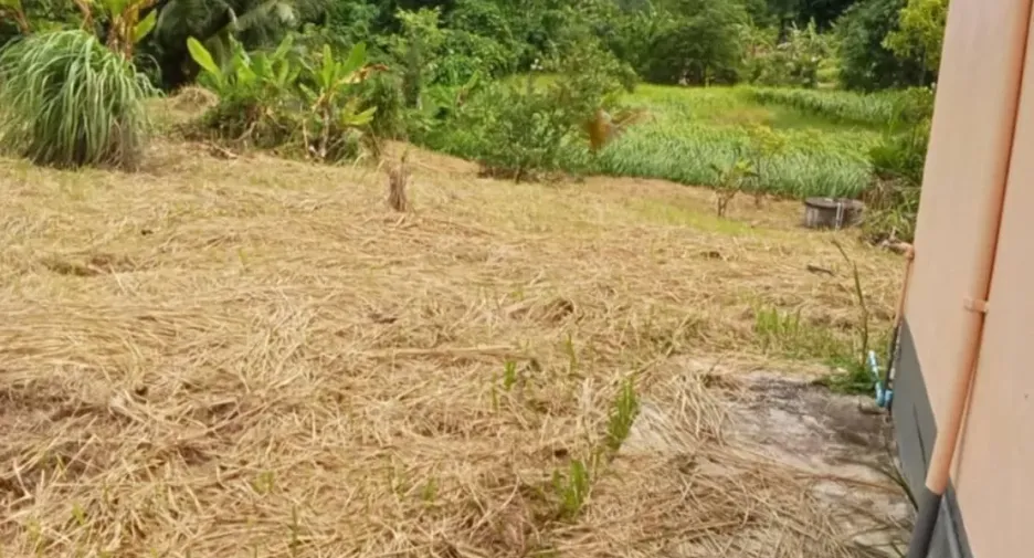 For sale land in Thalang, Phuket