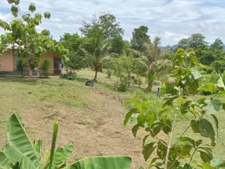 For sale land in Thalang, Phuket
