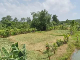 For sale land in Thalang, Phuket