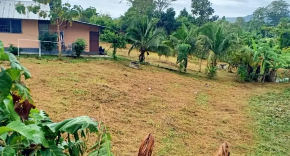 For sale land in Thalang, Phuket