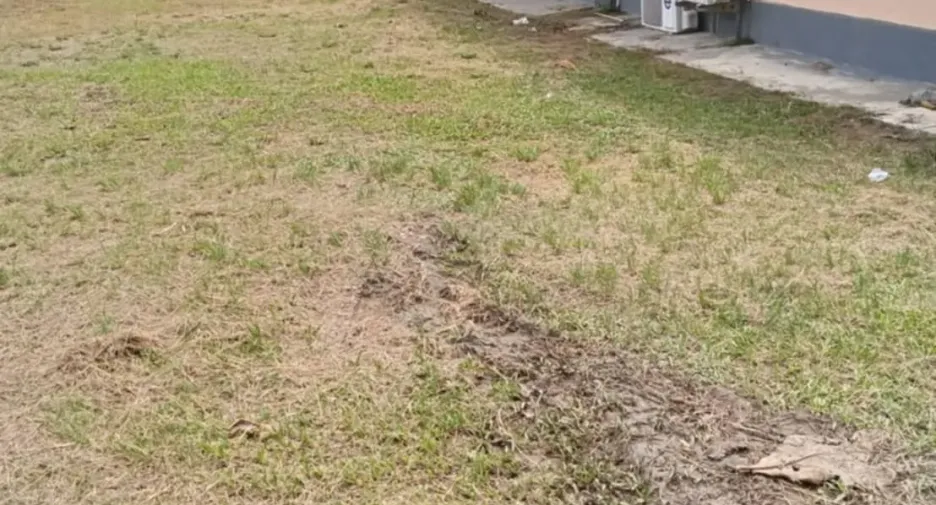 For sale land in Thalang, Phuket