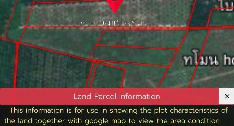 For sale land in Don Sak, Surat Thani