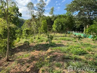 For sale land in Mae Chan, Chiang Rai