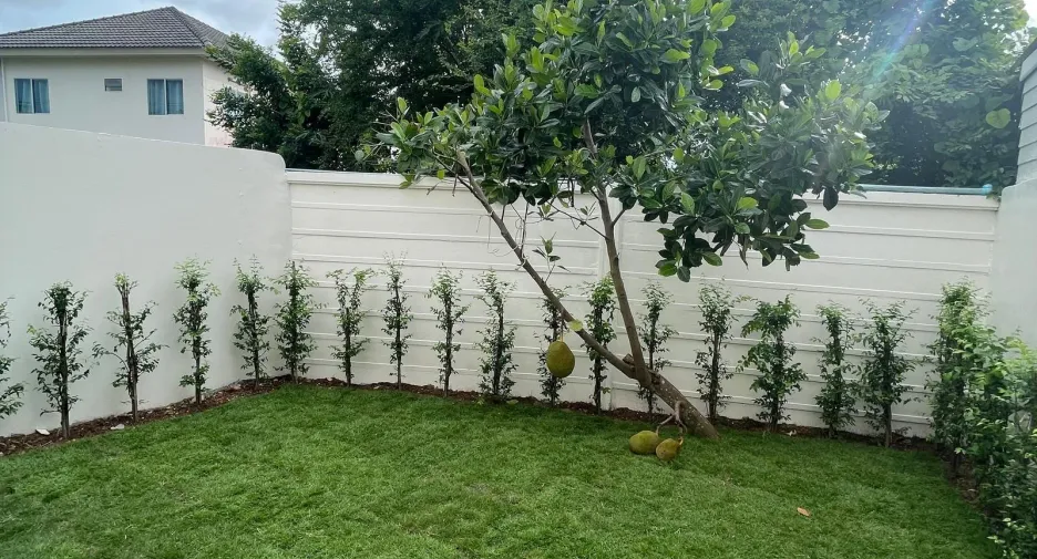For sale 3 bedrooms house in Thalang, Phuket