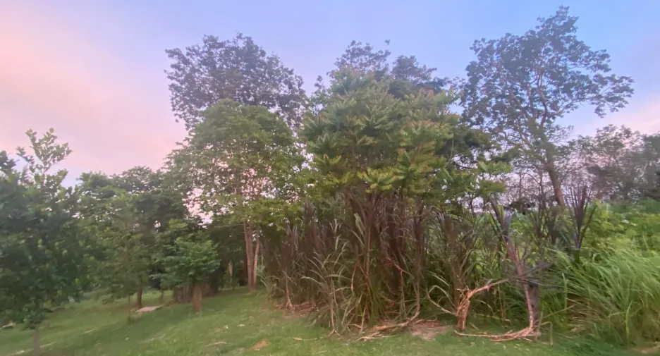出售 土地 在 Phuket Town, 普吉