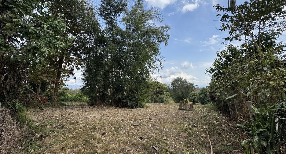 For sale land in Chiang Dao, Chiang Mai