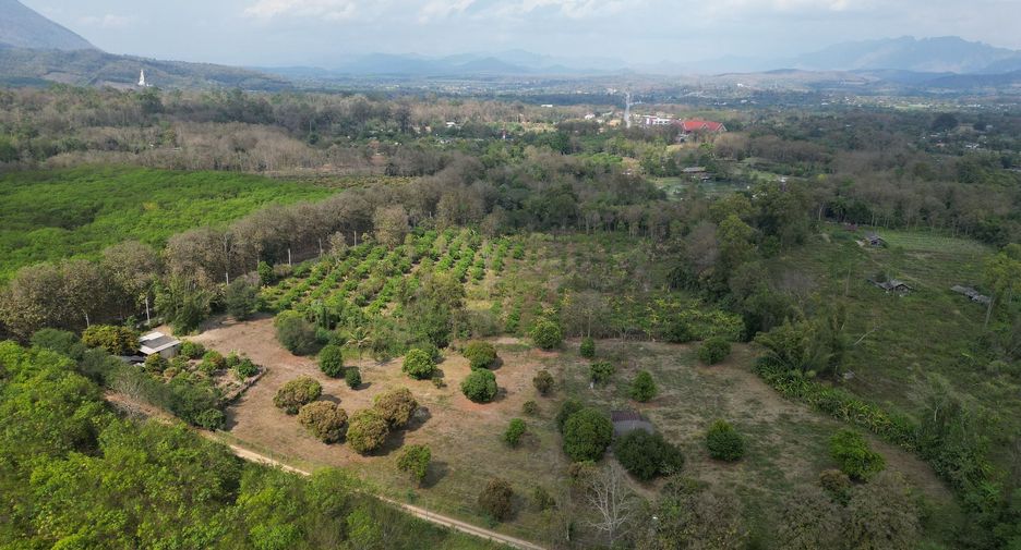 For sale land in Chiang Dao, Chiang Mai