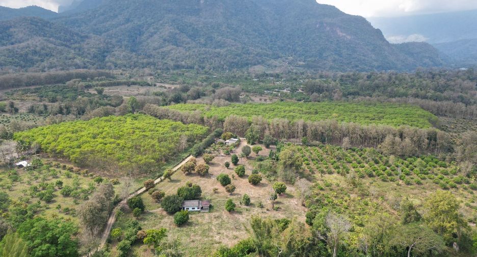 For sale land in Chiang Dao, Chiang Mai