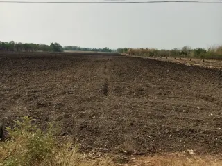 Продажа Участок в Chai Badan, Lopburi