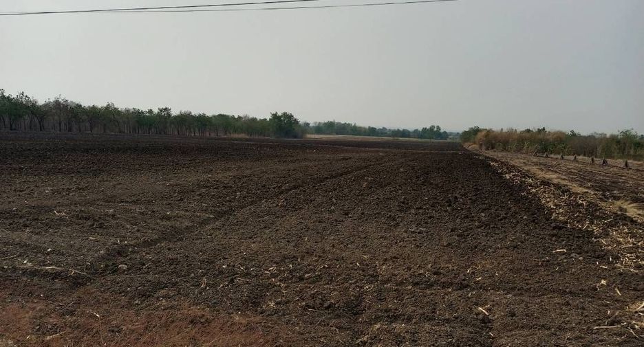 For sale land in Chai Badan, Lopburi