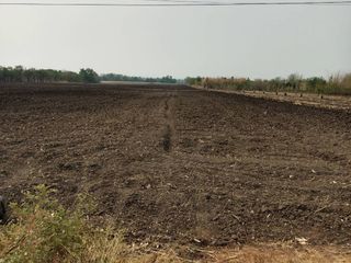 Продажа Участок в Chai Badan, Lopburi