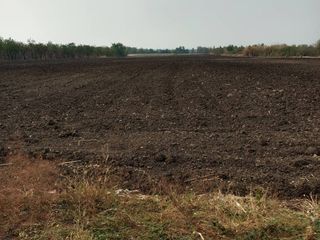 Terreno en venta en Chai Badan, Lopburi