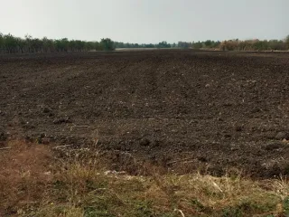Продажа Участок в Chai Badan, Lopburi