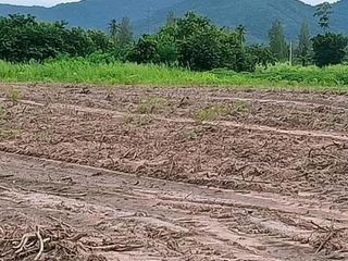 For sale land in Tha Yang, Phetchaburi