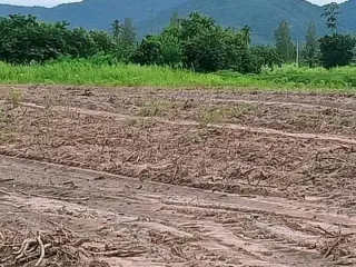 出售 土地 在 Tha Yang, Phetchaburi